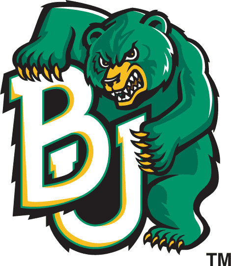 Baylor Bears 1997-2004 Alternate Logo iron on transfers for clothing